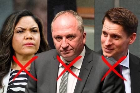 ‘Coalition crumbles’ – Barnaby Joyce to join One Nation