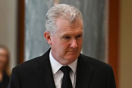 ‘No plan’ – Tony Burke refuses to set migration targets