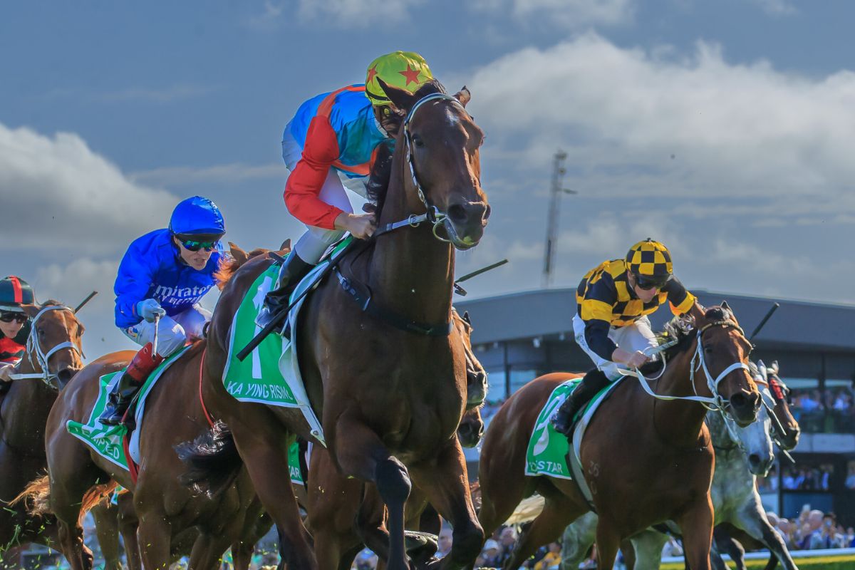 Article image for ‘We will back to defend our crown’ – Everest champ vows for back to back