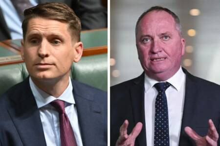 ‘Unhelpful to our cause’ – Hastie urges Barnaby Joyce to reject One Nation