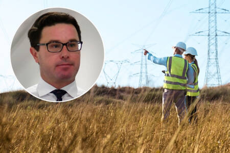 ‘Cheaper, better’ – Nationals leader breaks down new energy strategy