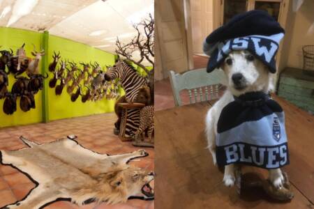 ‘Personal choice’ – Taxidermist on why people choose to preserve their pets