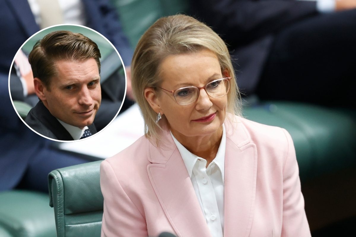 Article image for ‘Doesn’t matter who’ – Hastie on Sussan Ley’s leadership doubts