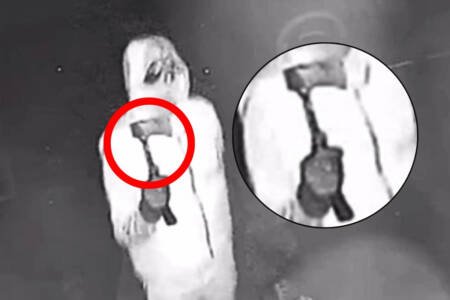 EXCLUSIVE – Teens armed with an axe caught stalking Sydney homes