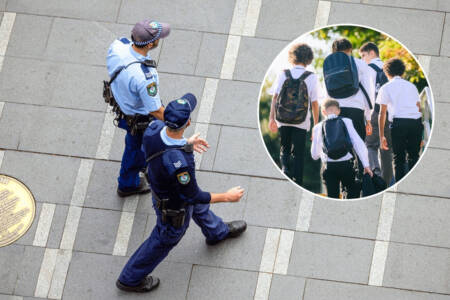 EXCLUSIVE – Teenagers to join police patrols under new cadet scheme