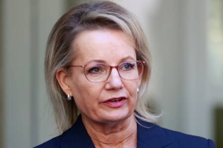 ‘We’re f*cked’ – Liberal insiders ahead of Net Zero showdown