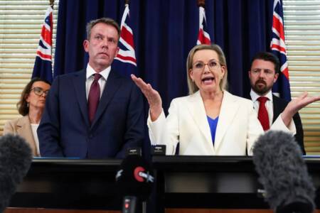 Falinski – The cost of policy turmoil on the liberal brand since election loss