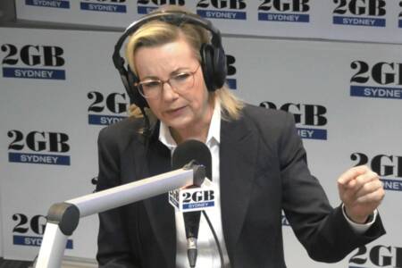 ‘Your calls’ – Sussan Ley faces her critics on the talkback line