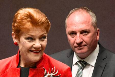 ‘I’ll cook him a steak’ – Pauline Hanson, One Nation eye Barnaby Joyce