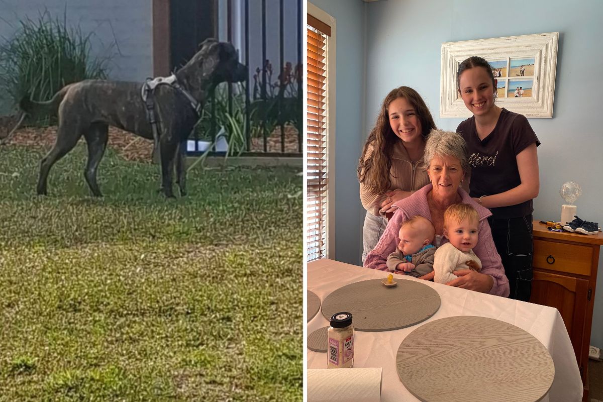 Article image for EXCLUSIVE – ‘Vicious and unprovoked’ – Daughter’s anguish after Mother mauled by dogs