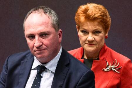 ‘I’ll make a decision’ – Joyce confirms One Nation verdict isn’t far away