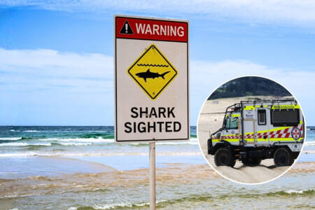 Woman killed in fatal shark in New South Wales