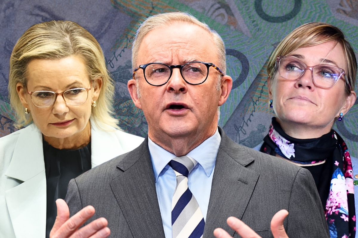 Article image for ‘Big spenders’ – Politicians exposed over extraordinary expenses