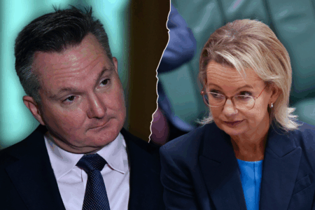 ‘Part-time Minister’ – Sussan Ley takes aim at Chris Bowen’s new gig