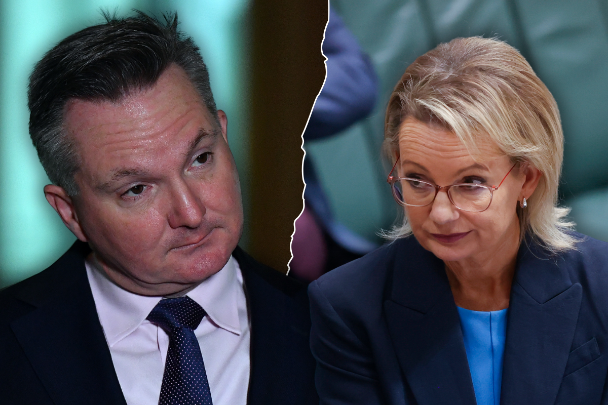Article image for ‘Part-time Minister’ – Sussan Ley takes aim at Chris Bowen’s new gig