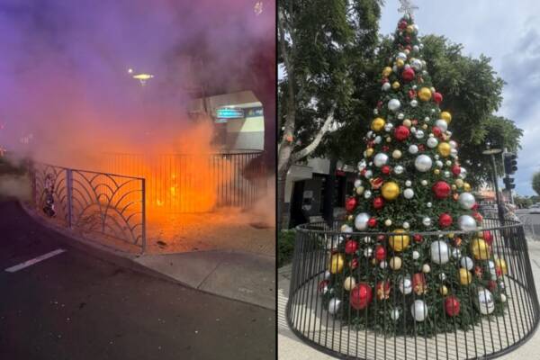 'Un-Australian' - Vandals burn down rural town's iconic Christmas tree