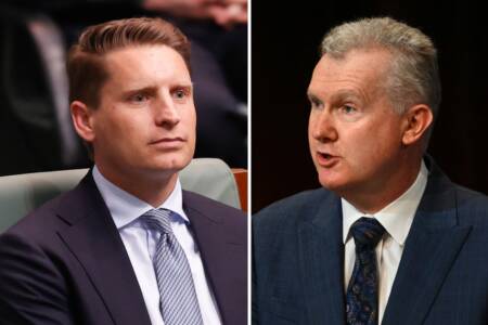 ‘Makes me angry’ – Hastie reacts to Tony Burke’s ISIS brides drama