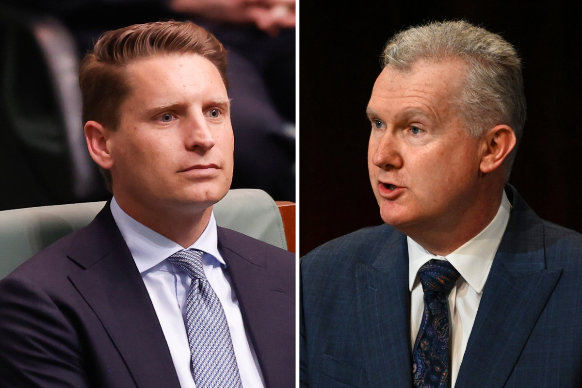 Article image for ‘Makes me angry’ – Hastie reacts to Tony Burke’s ISIS brides drama