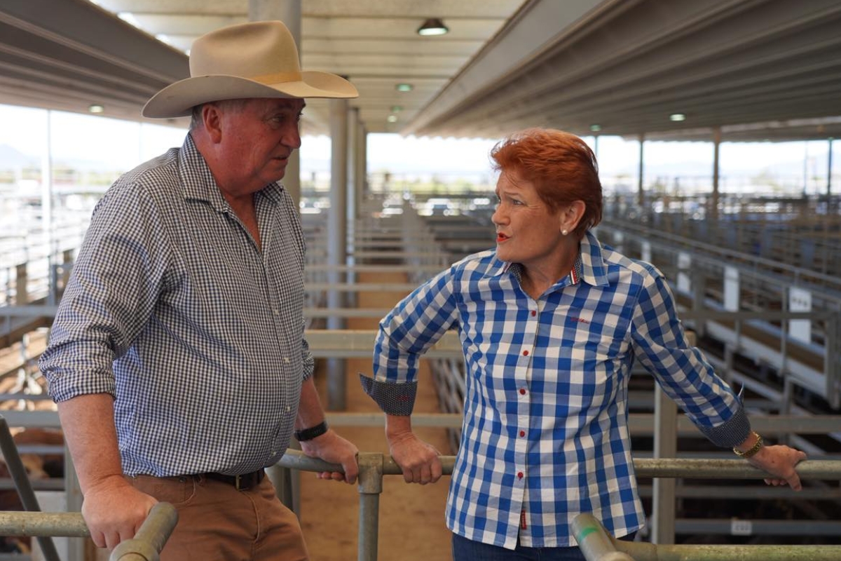 Article image for ‘Official’ – Barnaby Joyce joins One Nation