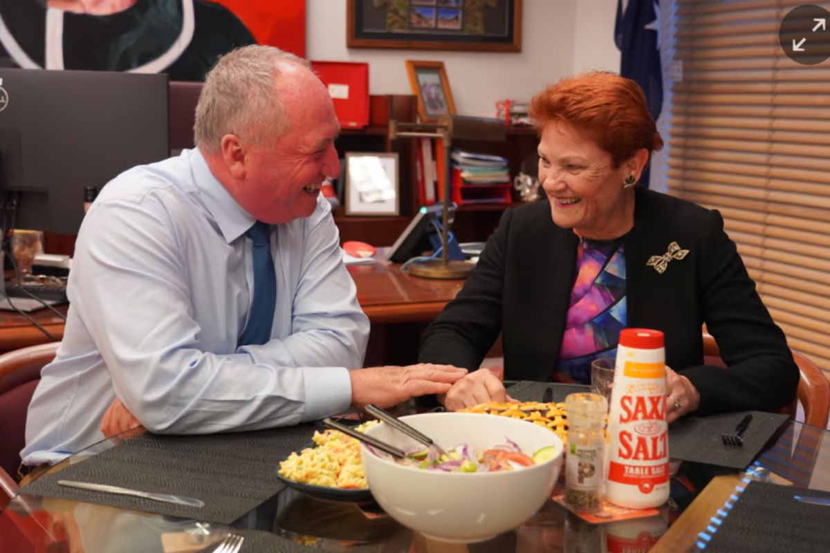 Article image for Hanson’s Coup – Barnaby Joyce & Pauline Hanson full interview