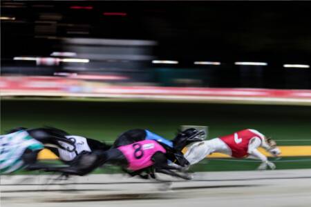 ‘No discussion’ – Greyhound Racing NSW blindsided by Wentworth Park decision