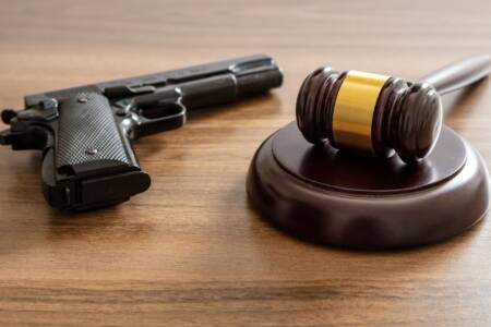 ‘Massive crackdown’ – Listeners divided over major gun reform