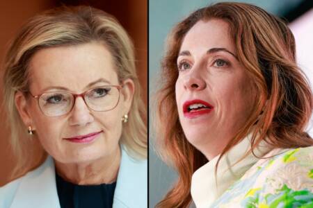 ‘Step aside’ – Sussan Ley calls on Anika Wells to stand down amid review