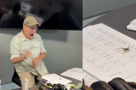 Studio Invader: Murray Olds’ Hilarious Reaction to a Spider Minutes Before Air