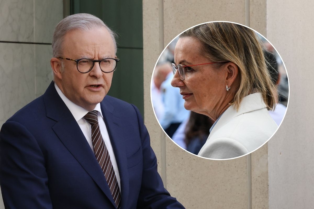 Article image for ‘Weak response’ – Sussan Ley fires up over Albo’s royal commission snub