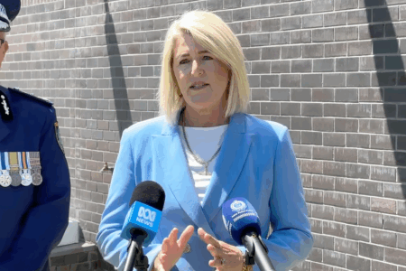 Police Minister defends ‘rushed’ gun laws in fiery interview