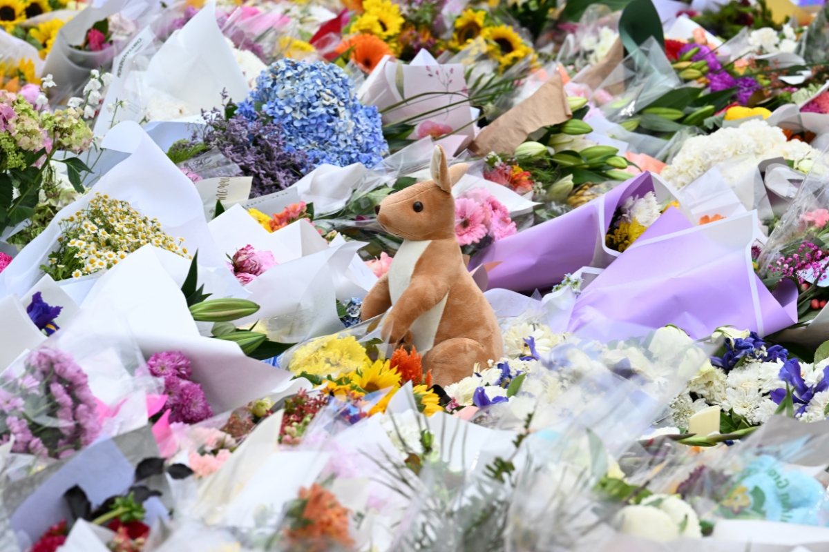 Article image for ‘We’re fearful’ – Daughter of Bondi attack hero demands answers