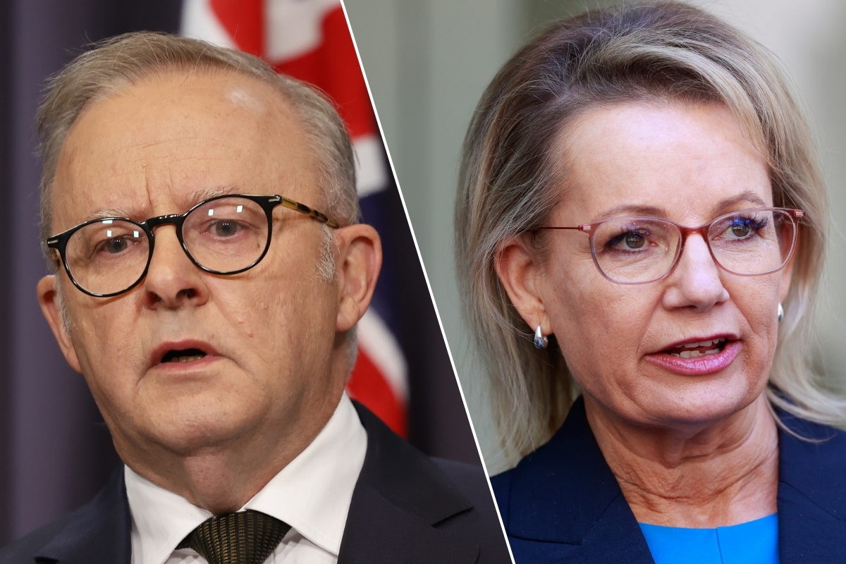 Article image for ‘Not acceptable’ – Sussan Ley calls for Royal Commission after PM continues to resist full inquiry