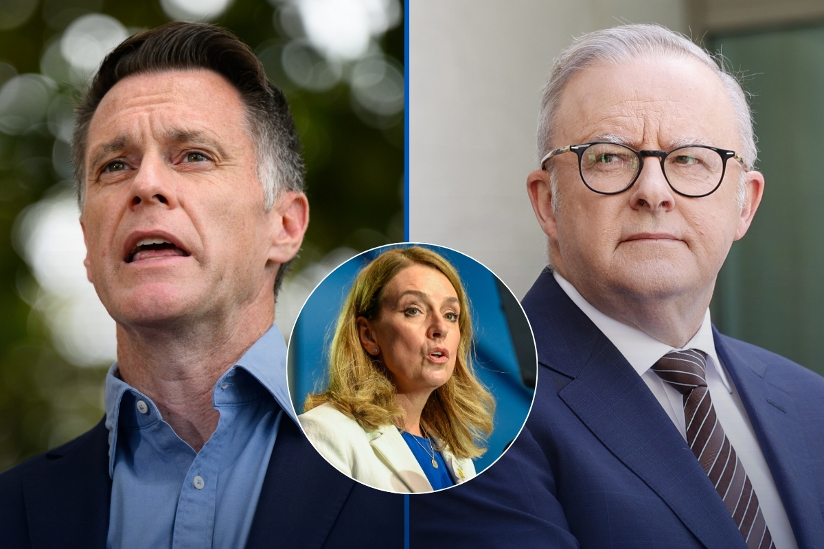 Article image for NSW Opposition Leader says Premier needs to call out PM’s ‘stubborn refusal’ of Royal Commission