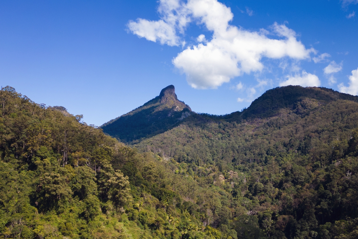 Article image for Mount Warning to reopen from 2027 in 2GB win