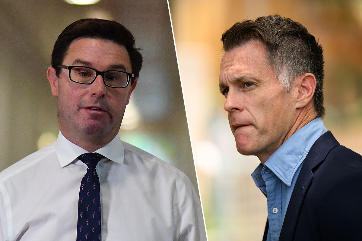 Article image for ‘Knee-jerk reaction’ – David Littleproud criticises Chris Minns’ new gun reforms