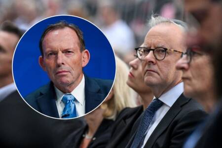 ‘Let us down’ – Tony Abbott unleashes on Anthony Albanese