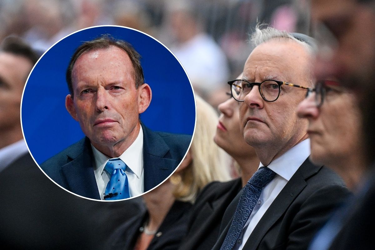 Article image for ‘Let us down’ – Tony Abbott unleashes on Anthony Albanese