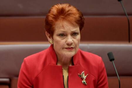 ‘Waking up’ – Pauline Hanson reacts to One Nation’s surge in the polls