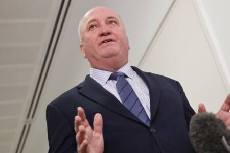 Barnaby Joyce calls for ‘common sense’ over gun reform laws