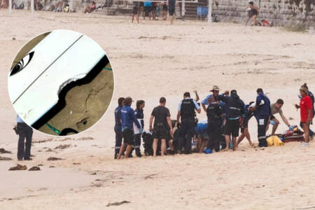 ‘Blood in the water’ – 2GB reporter involved in shark attack rescue