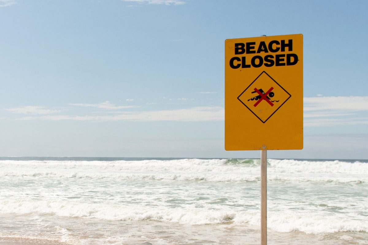 Article image for Fourth shark attack occurs in NSW