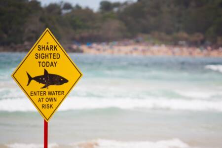 ‘NSW on edge’ – Fourth shark attack in 48 hours