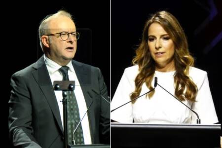 ‘Albo spray’ – Sharri Markson targets PM face to face