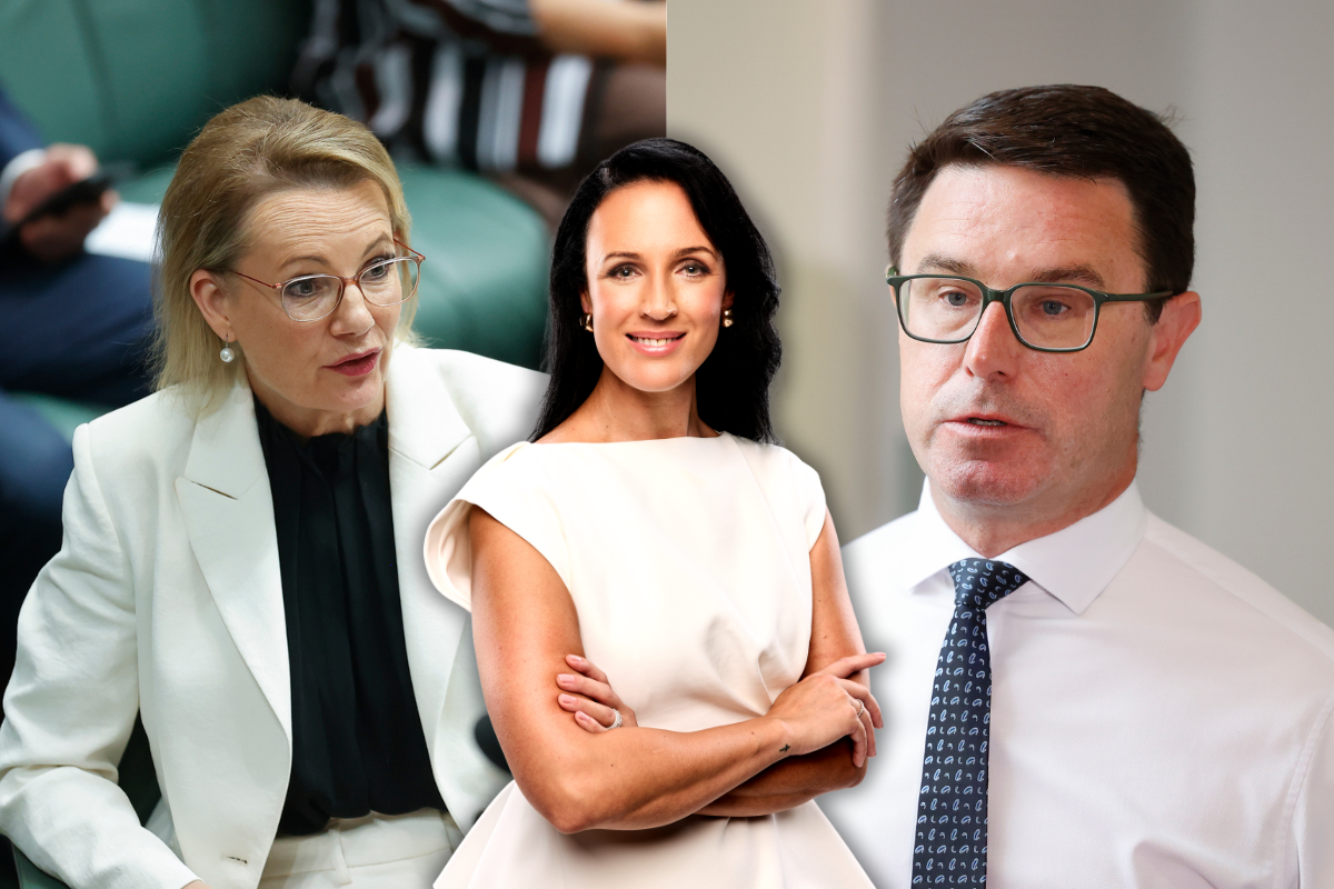 ‘Schoolyard nonsense’ – Lucy Zelić’s harsh assessment of the Liberal and National Parties