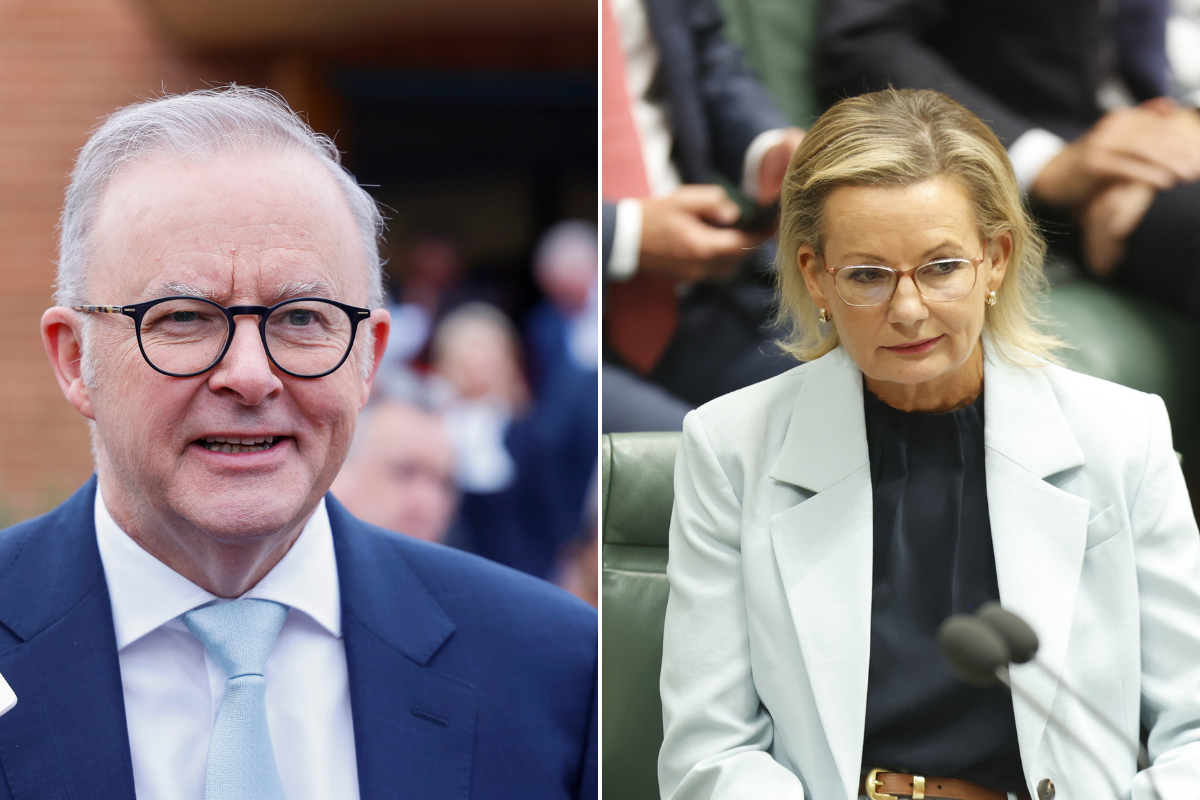 Article image for Why Michael McLaren bets Albanese ‘can’t believe his luck’