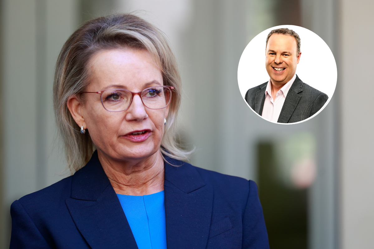 Article image for ‘What do they do now’ – Clinton Maynard on who could replace Sussan Ley