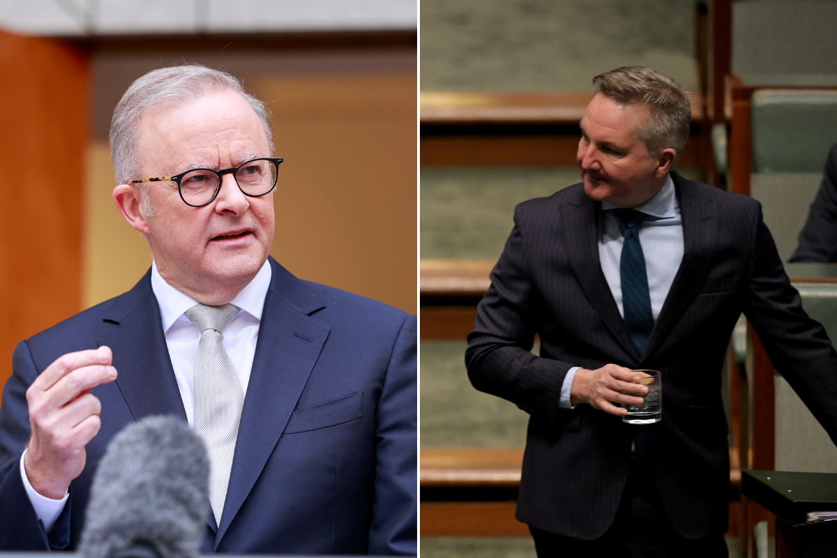 ‘Confront reality’ – Michael McLaren’s comments on the Federal Government’s energy guarantees and policy