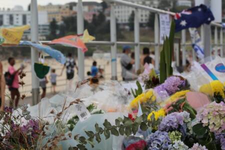 ‘We all want answers’ – Former Labor MP backs calls for a Royal Commission into Bondi attack