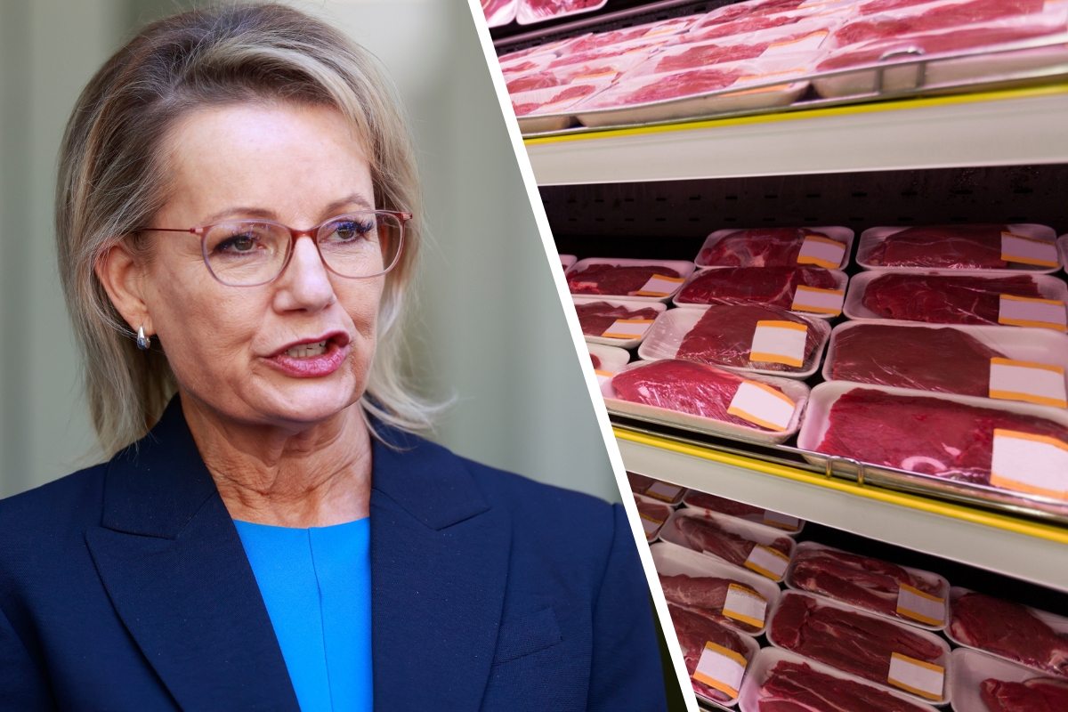 Article image for ‘Push back’ – Sussan Ley criticises the government’s ‘weak’ response to China’s new beef tariffs