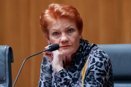 ‘They want me in jail’ – Federal police investigating Pauline Hanson